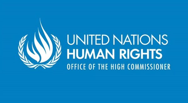 Human rights _ investigate _ tigray 