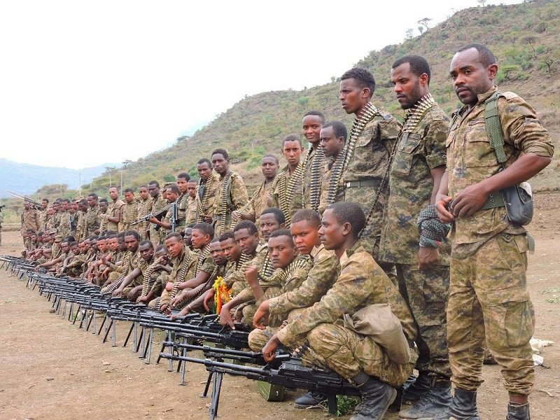 Ethiopian Defense Force - Amhara region 