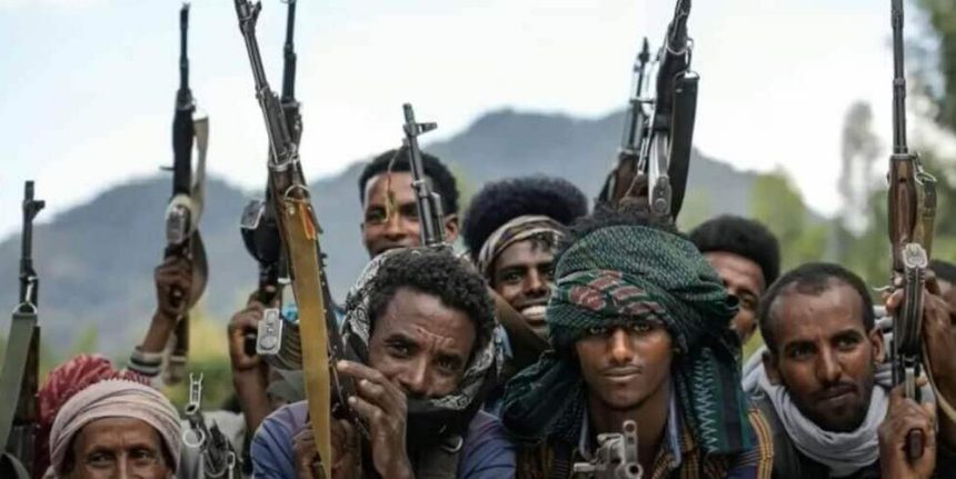 Amhara scholars _ contribution