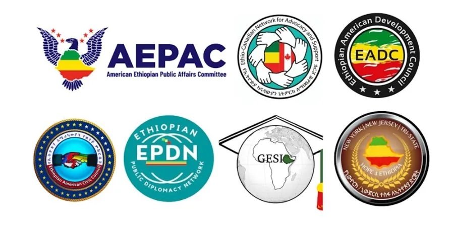 Ethiopian Organizations _