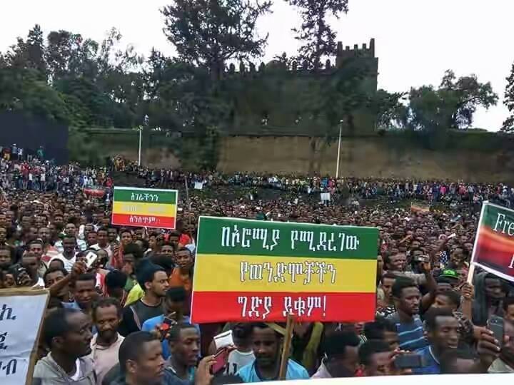 Amhara Oromo Unity 