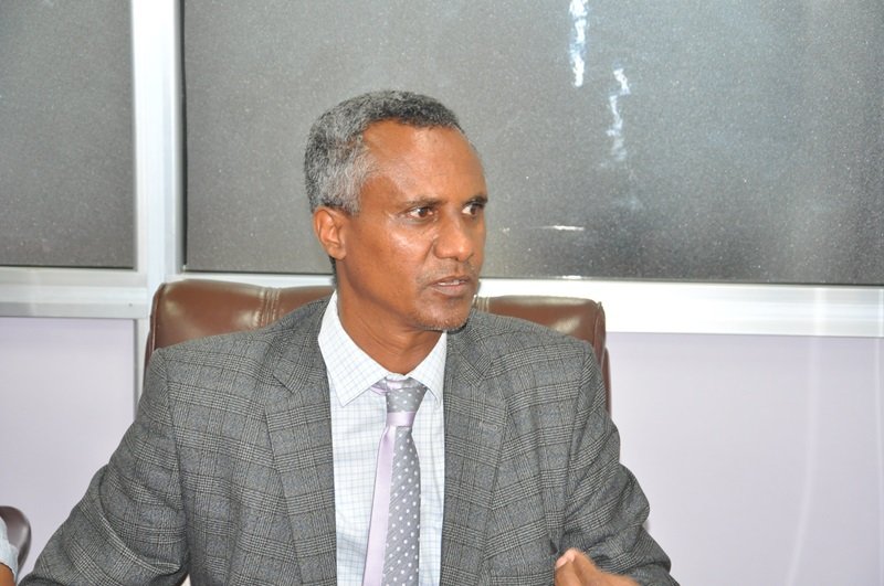 ethnic composition  _ Ethiopia _ public service 