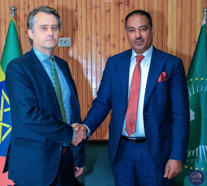 Germany's Special Envoy 
