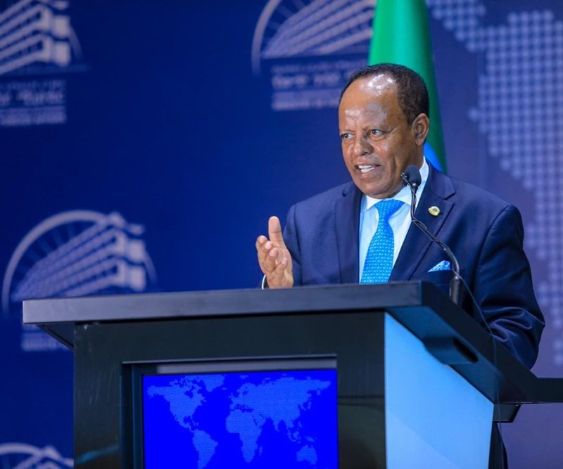 Ethiopia _ Somalia _ Egypt _ Taye remark