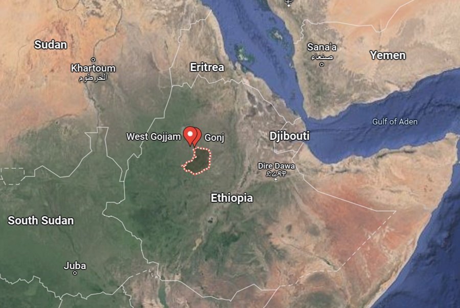 Ethiopian gov't forces - 