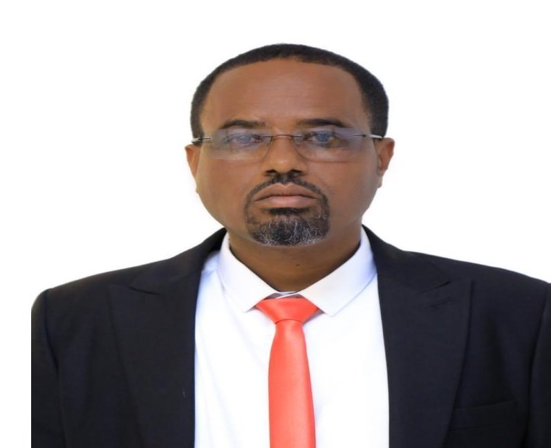 Abiy Ahmed _ leadership _ Yehualaw Sisay Alemu (Engineer)

