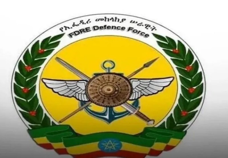 Ethiopia pardons _ Defense force members 