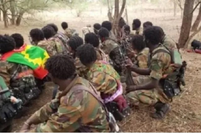 Ethiopia political narrative