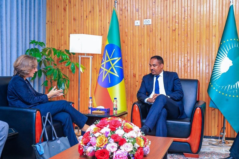 EU _ Ethiopian News _ terrorism 