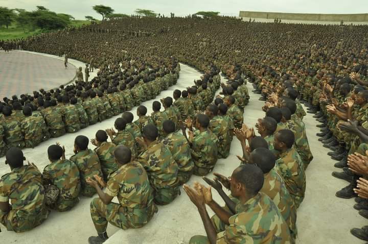 Ethiopian government _ Drafting  