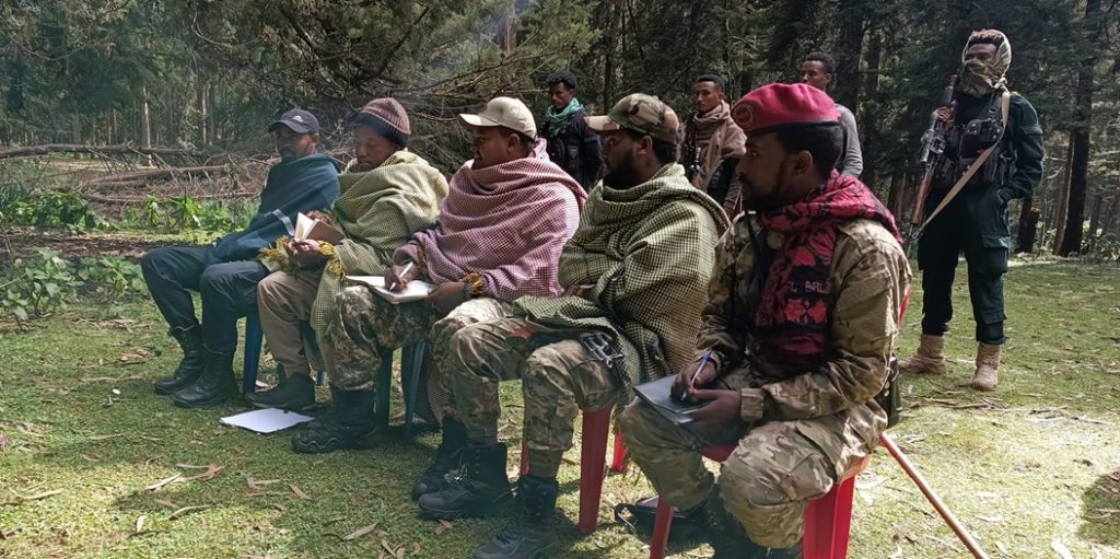 Fano forces _ Ethiopian News _ Gojjam