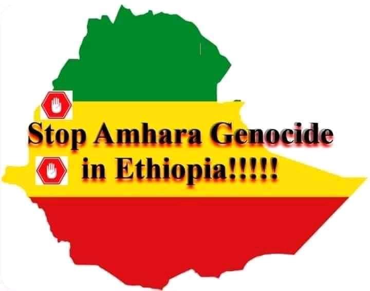 Amhara Struggle 