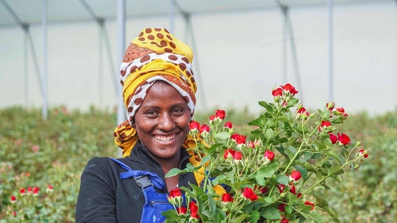Ethiopian Floriculture Industry _ US tariffs