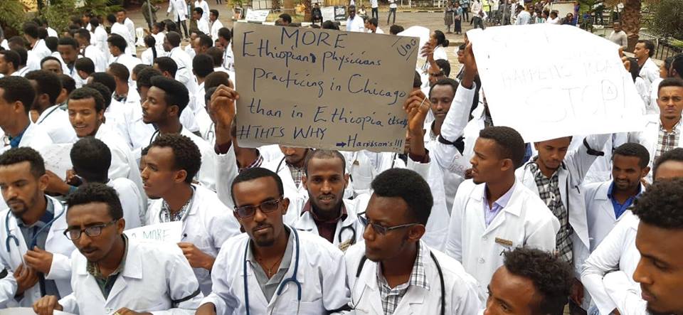 Ethiopia Medical Professionals movement 