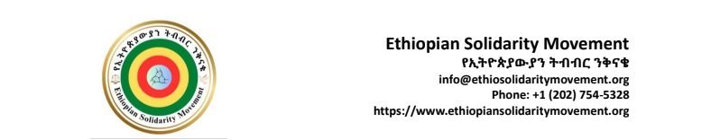 Ethiopian Solidarity Movement _ Ethiopian Medial Professionals 
