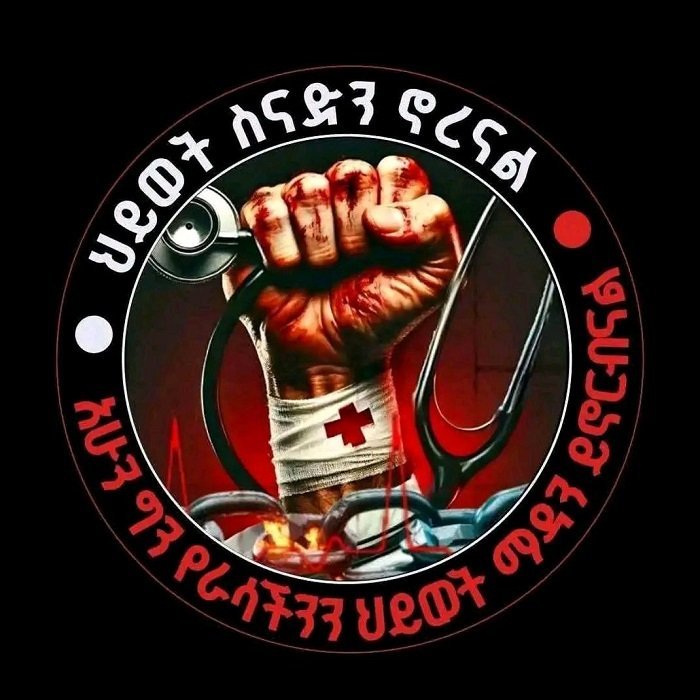 Ethiopia _ Ethiopian health Professionals Movement 