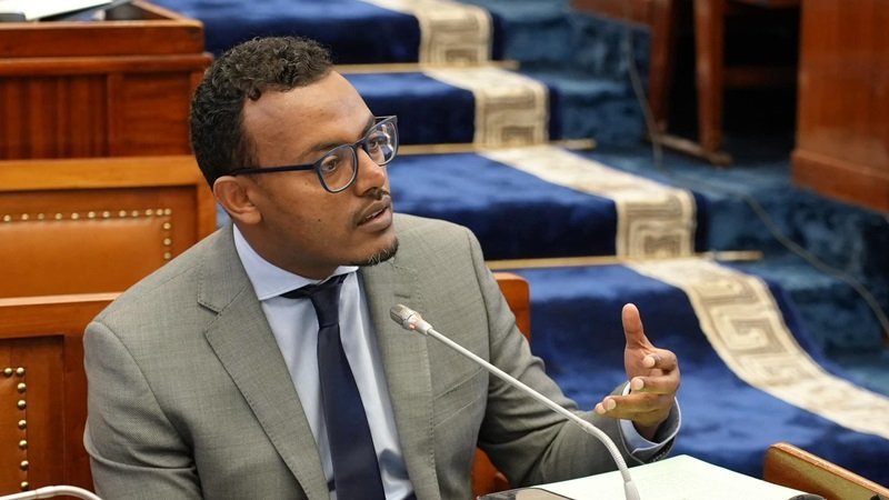 Ethiopia government borrowing 