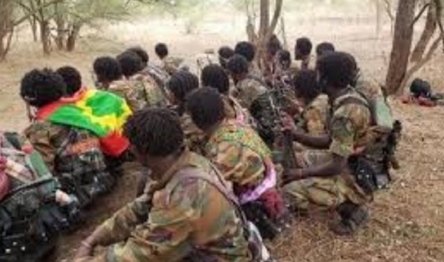 OLA _ Oromo Liberation  Army _ Ethiopia 