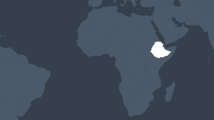 Ethiopian Activists and Journalists 