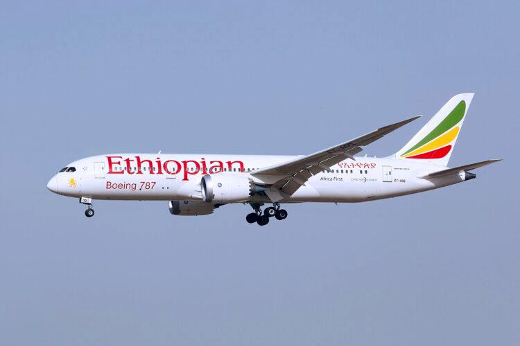 Ethiopian Airlines Emergency Landing 