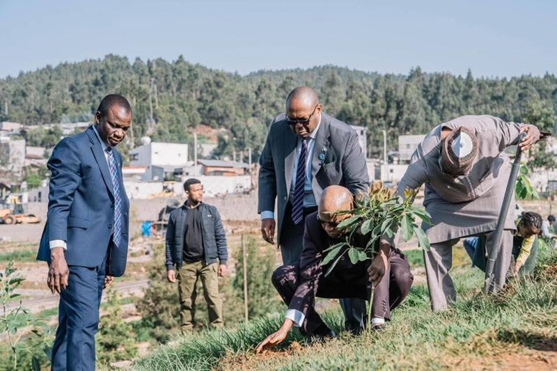 Green Legacy _ Ethiopia