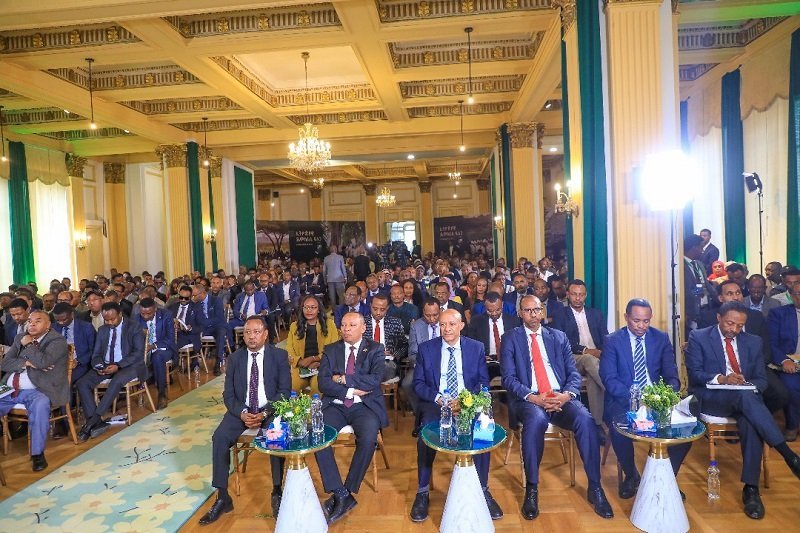 Ethiopia Democracy _ Tesdaye Beljige