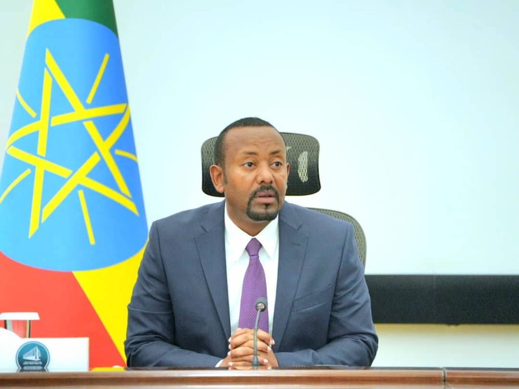 Ethiopia's Ruling Party _ Red Sea Access 