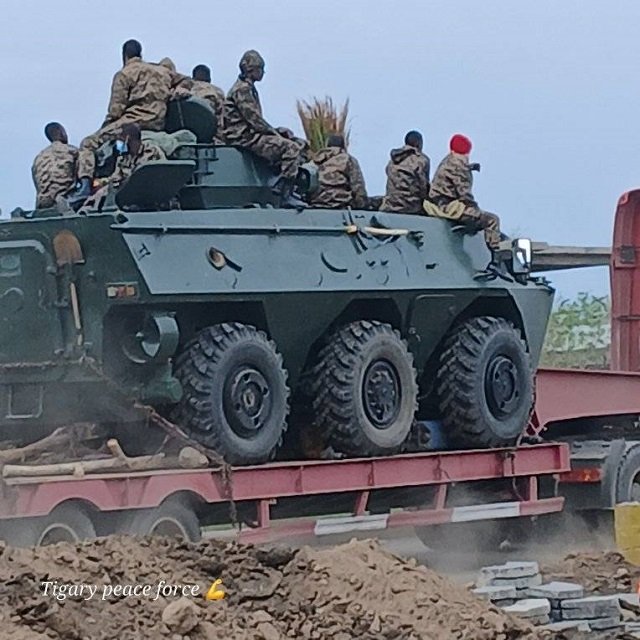 Ethiopian gov't forces 