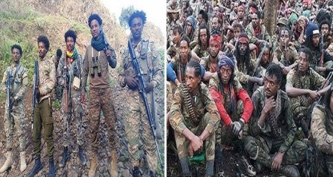 Fano Forces _ Oromo Liberation Amy _ Cooperation 
