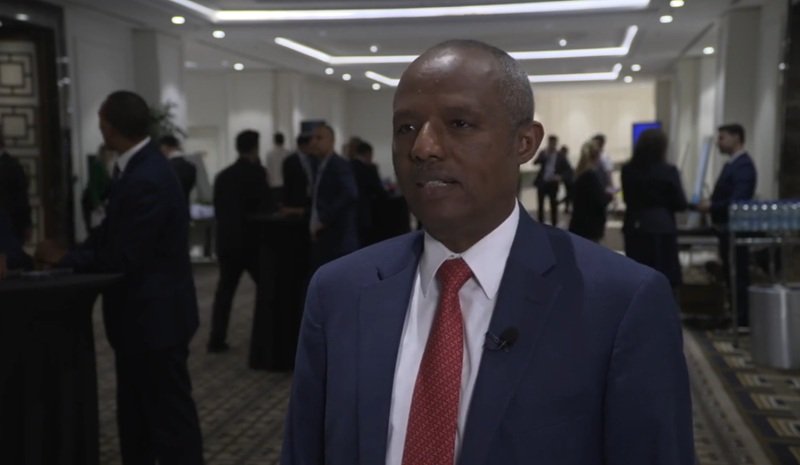 Ethiopian Airlines CEO 