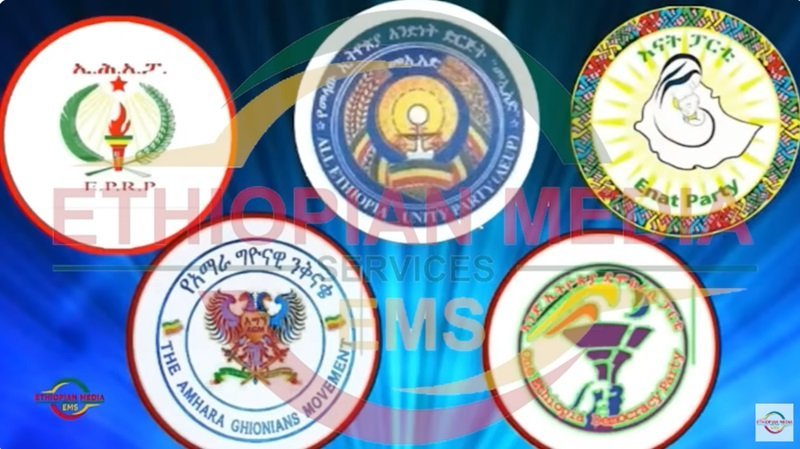 EMS _ Ethiopian News _ Opposition coalition 
