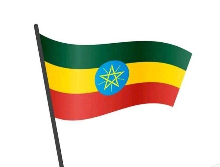 Red Sea _ Ethiopian Defense Force Statement 