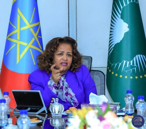 Ethiopian gov't officials _ Ethiopian News 