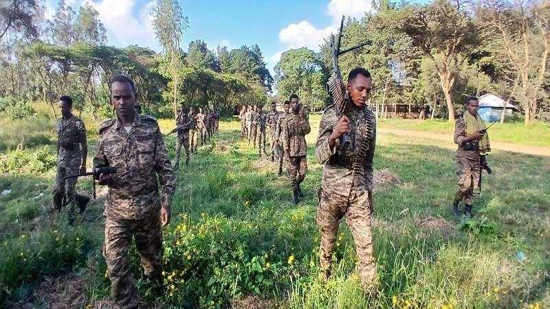 Ethiopian Defense Force _ News 