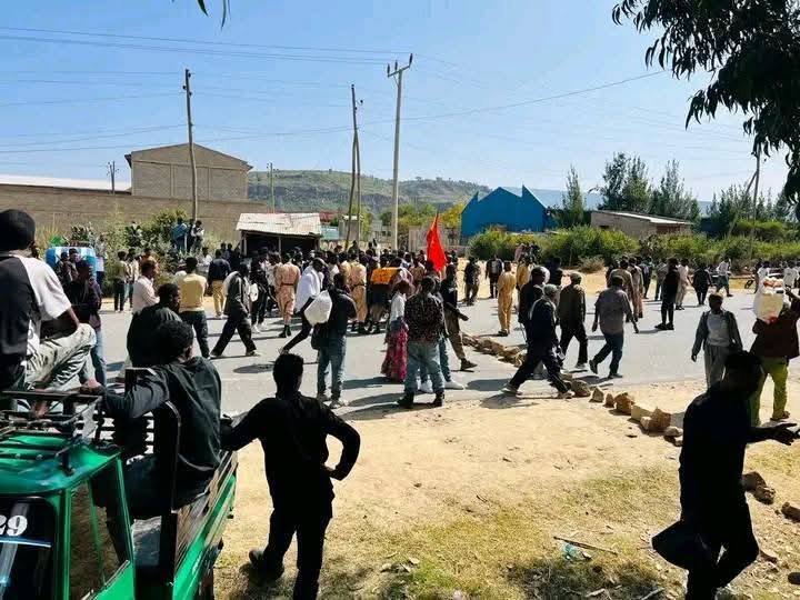 TPLF Forces _ Tigray _ Ethiopian news