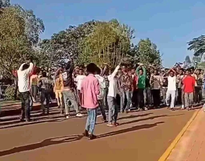 University Students _ Ethiopia news