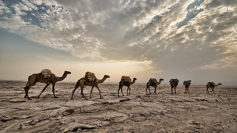 Afar Desert Ethiopia _ Dave Stamboulis