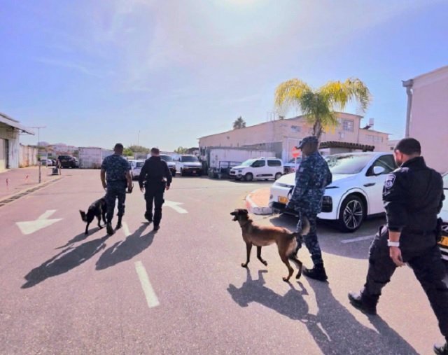 Sniffing dogs _ Ethiopia _ Israel 