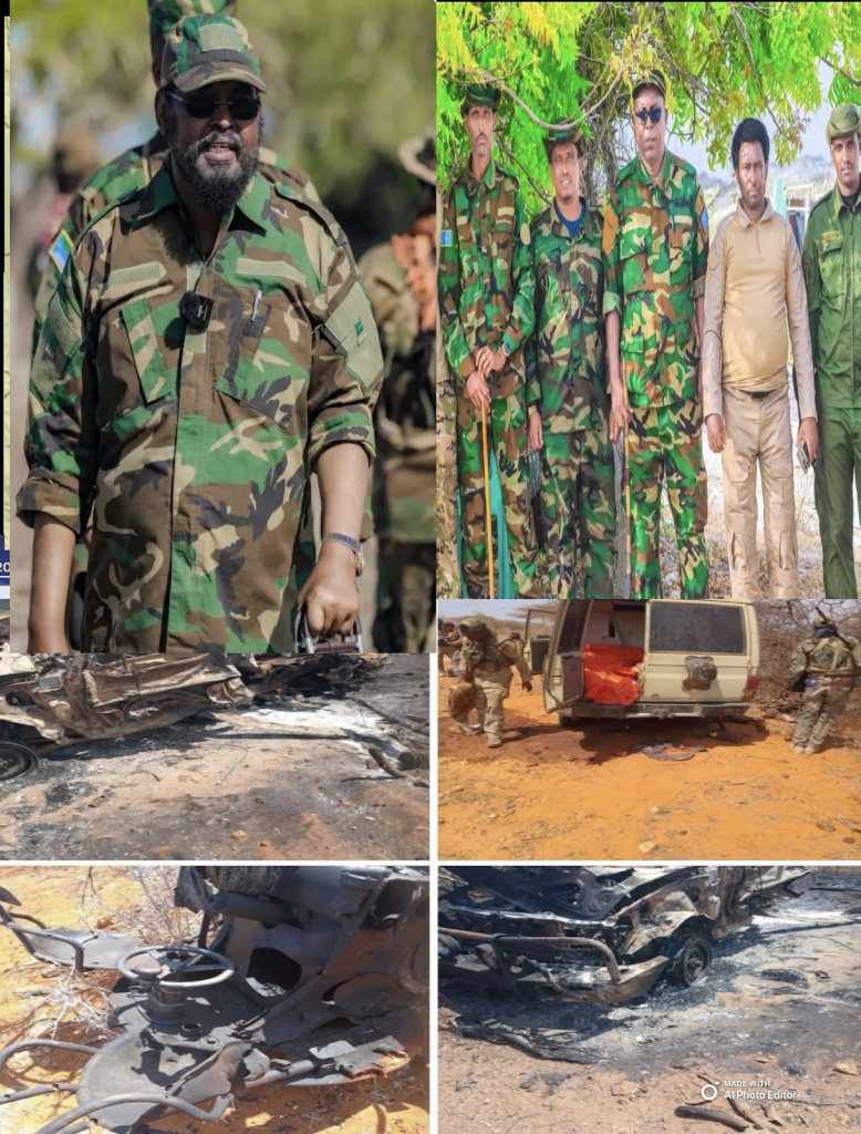 Jubaland _ Al-Shabab 