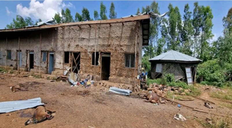 Ethiopia _ Dehumanization _ Amhara