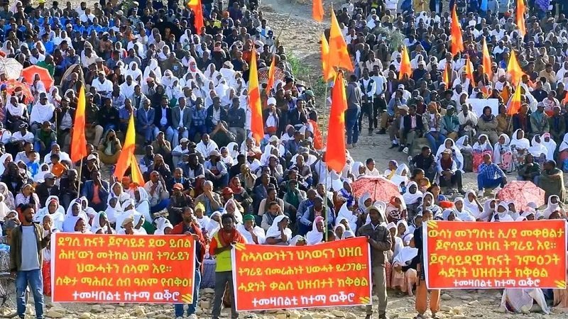 Tigray protest _ House of Federation decision 