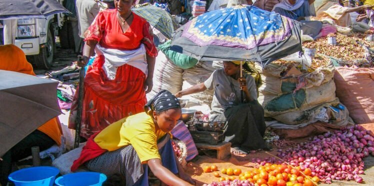 Ethiopian Economy _ Ethiopian Stock 