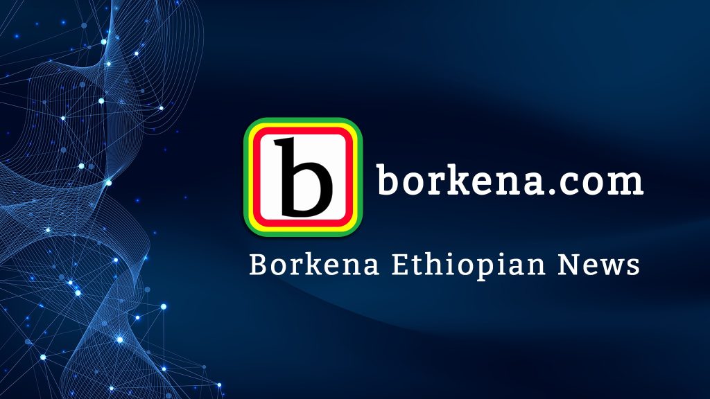 Borkena Guest Post Terms and Conditions