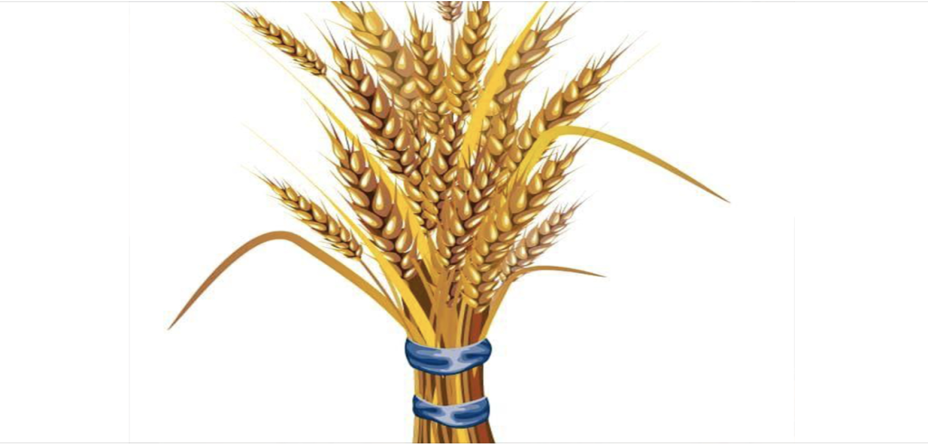 Ethiopia Prosperity Party