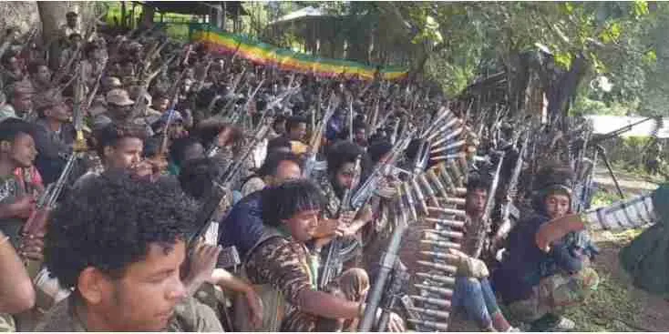 Fano forces _ Ethiopian politics 