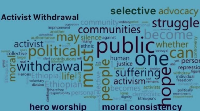 Ethiopia activism _ Politics 