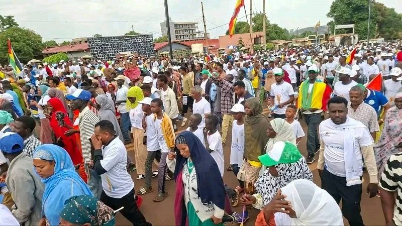 Silent Majority _ Ethiopian News 