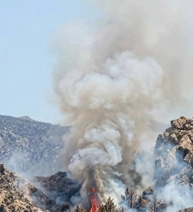 Afar region _ Wildfire