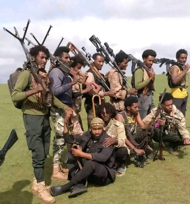 Fano force _ Ethiopia _ Wollega