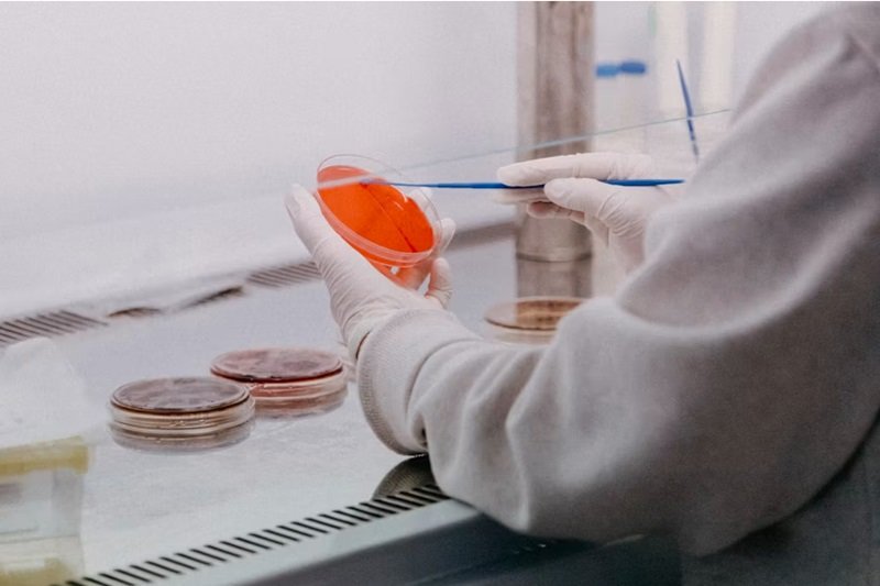 ABP-7 Peptide _ 